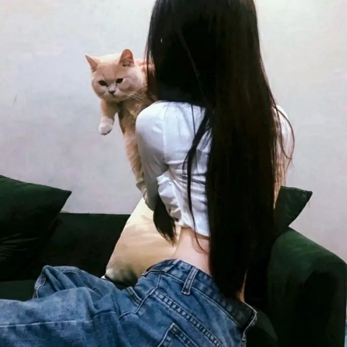 银坛莺燕 在线观看
